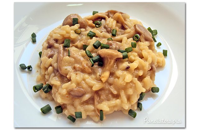 Risotto de Shitake, Shimeji e Paris Receita por Joao - Cookpad