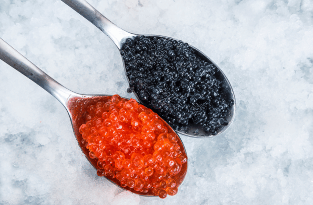 ovas pretas e vermelhas são o caviar
