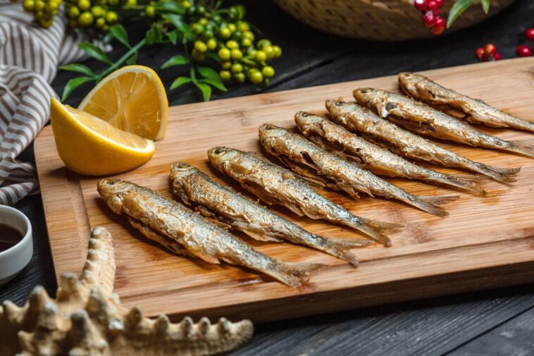 Receita torta de sardinha: como fazer no liquidificador?