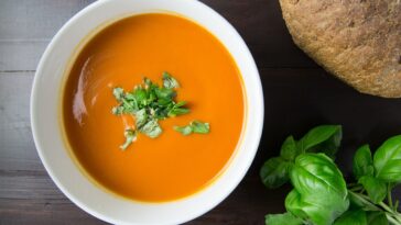 Melhores receitas de sopa fria