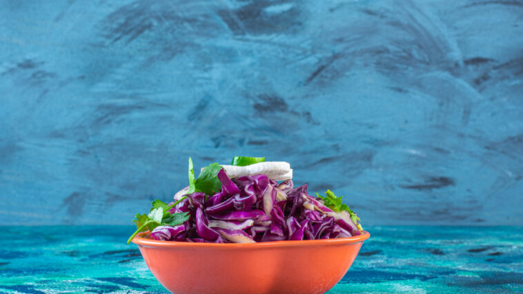 Conheça duas receitas deliciosas de salada de repolho roxo